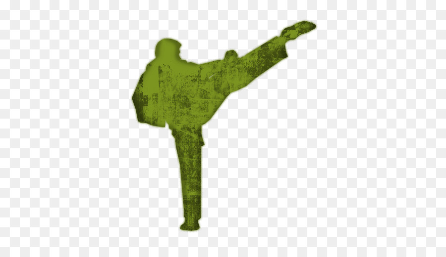 Taekwondo，Karate PNG