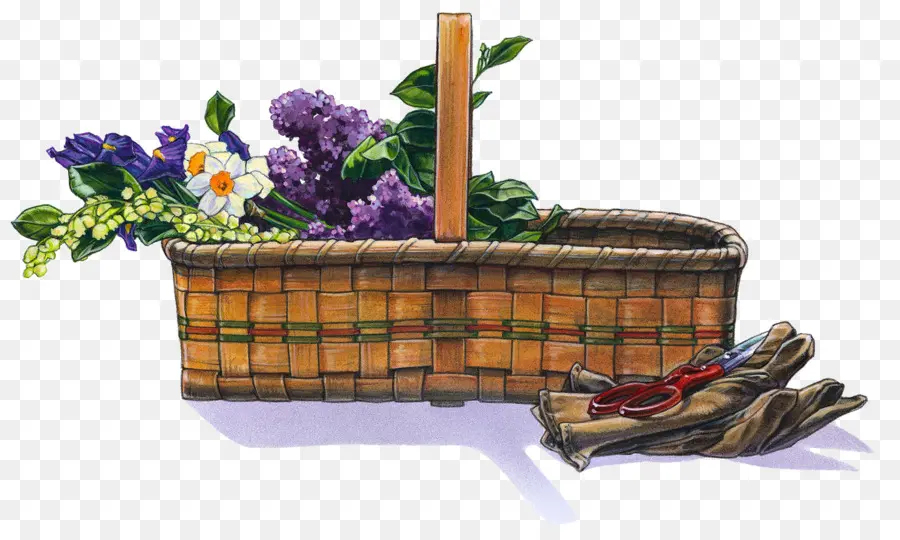 Cesta Con Flores，Jardinería PNG