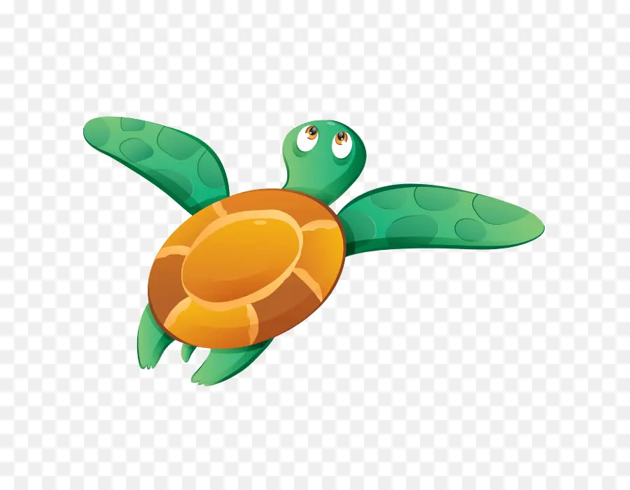 Tortuga De Mar，Tortuga PNG