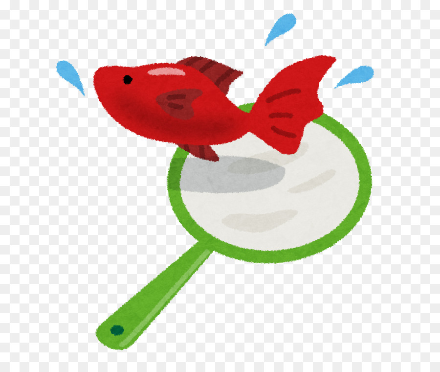 Pez De Colores，Saca De Peces Dorados PNG