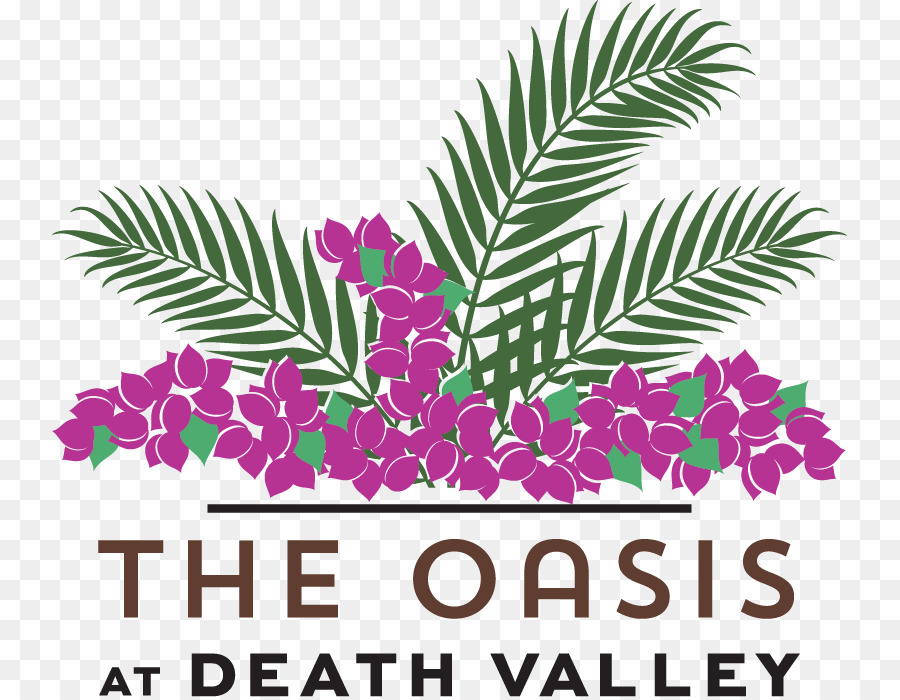 Oasis En El Valle De La Muerte，Furnace Creek PNG