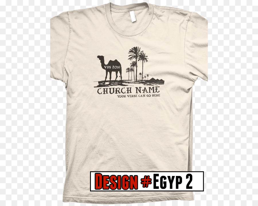 Camiseta，La Biblia PNG