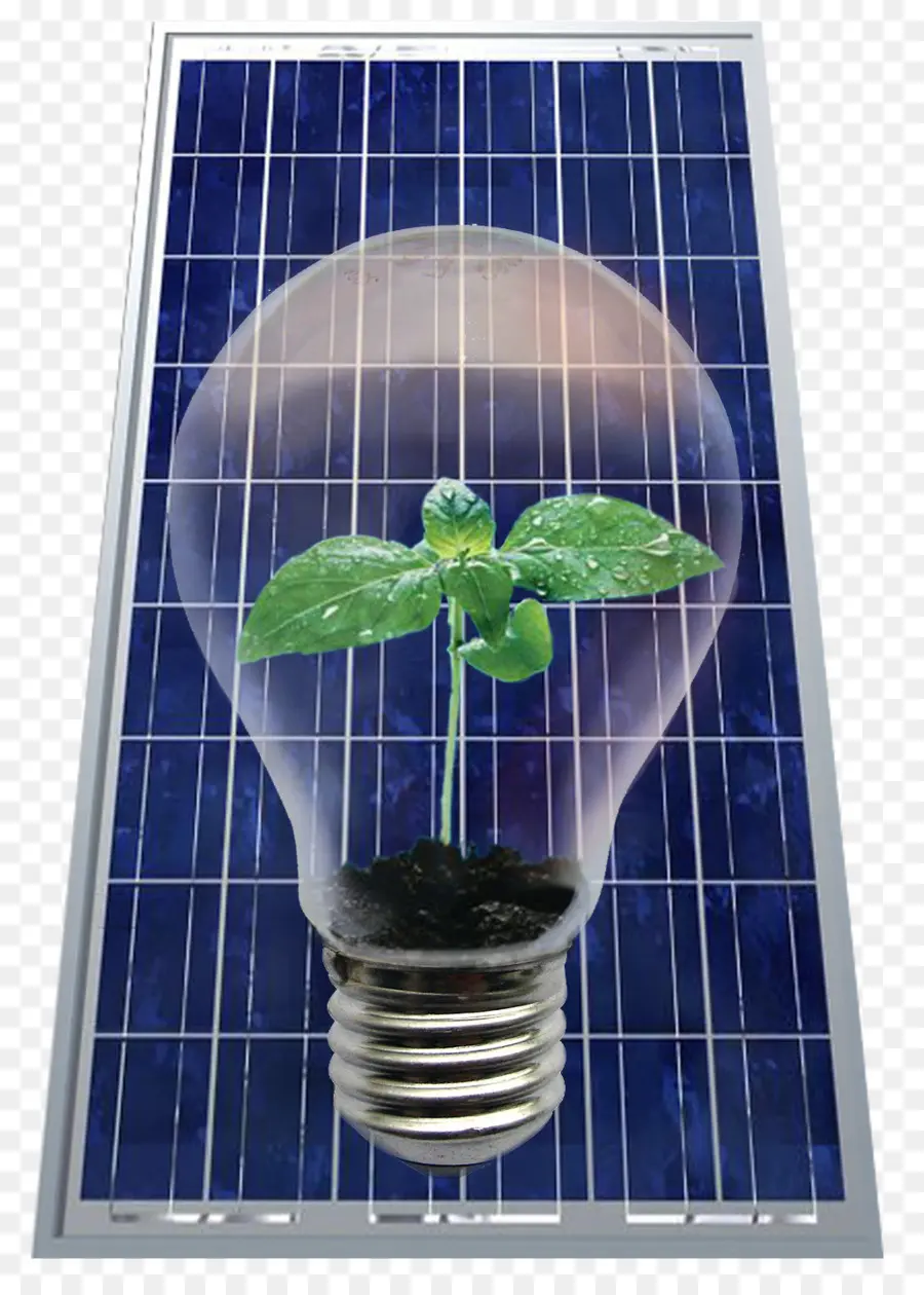 Bombilla Con Planta，Panel Solar PNG