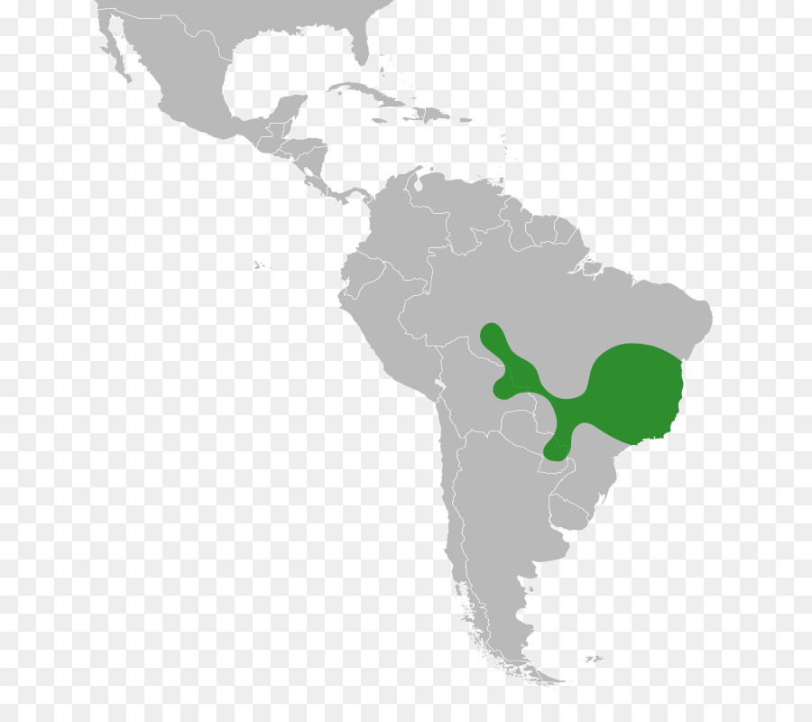 América Latina，Sudamerica PNG