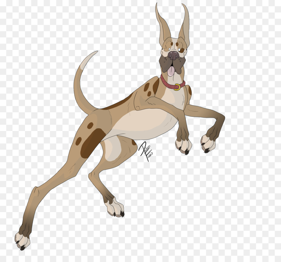 Raza De Perro，Perro PNG