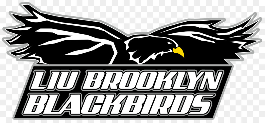 Liu Brooklyn，Universidad De Long Island PNG