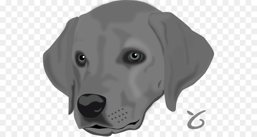 Perro，Cachorro PNG