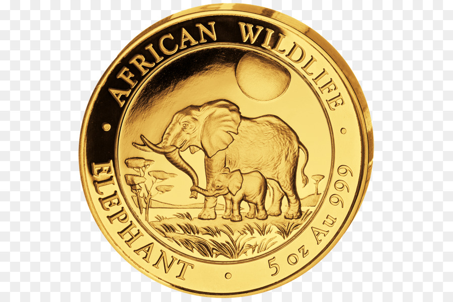 Moneda De Oro，Elefante PNG