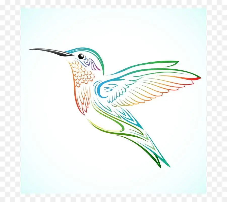 Colibrí，Tatuaje PNG