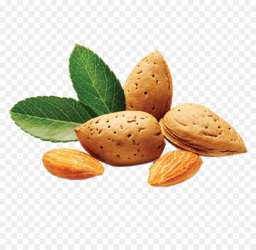 Almendra，La Semilla PNG