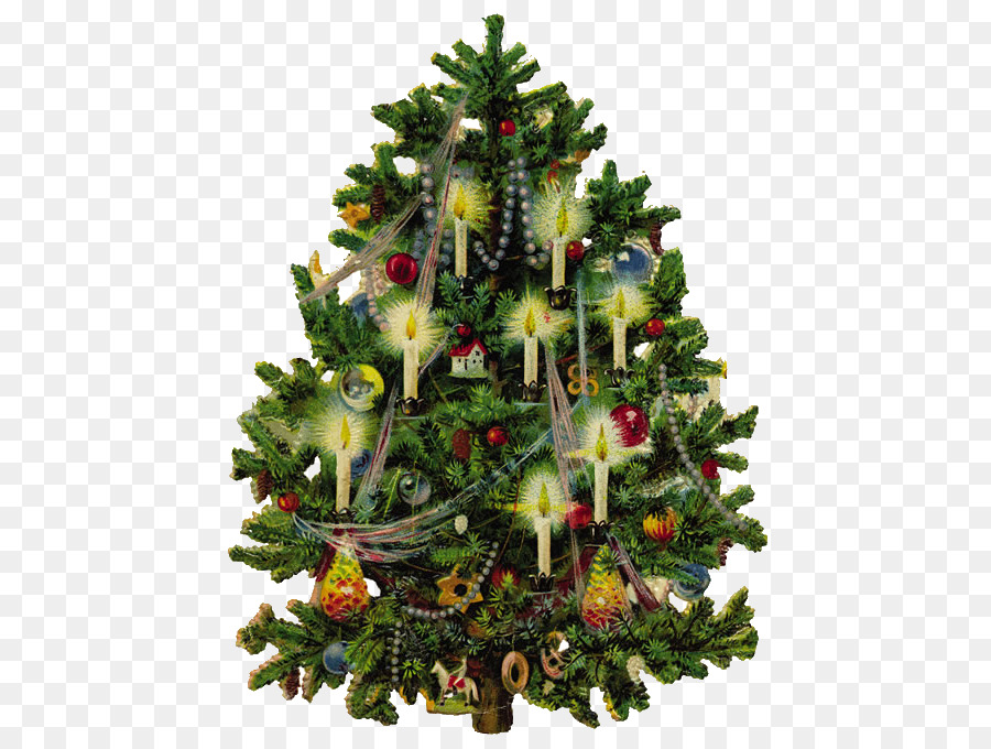 En La época Victoriana，árbol De Navidad PNG