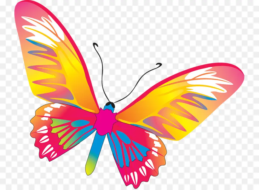 Mariposa，Dibujo PNG