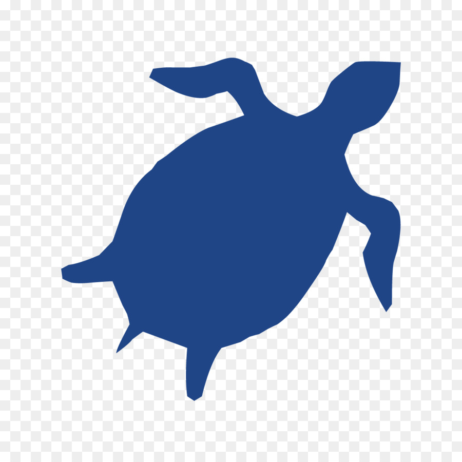 Tortuga De Mar，Tortuga PNG