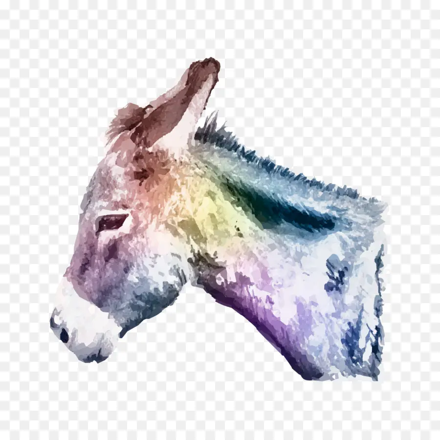 Burro，Cabeza PNG