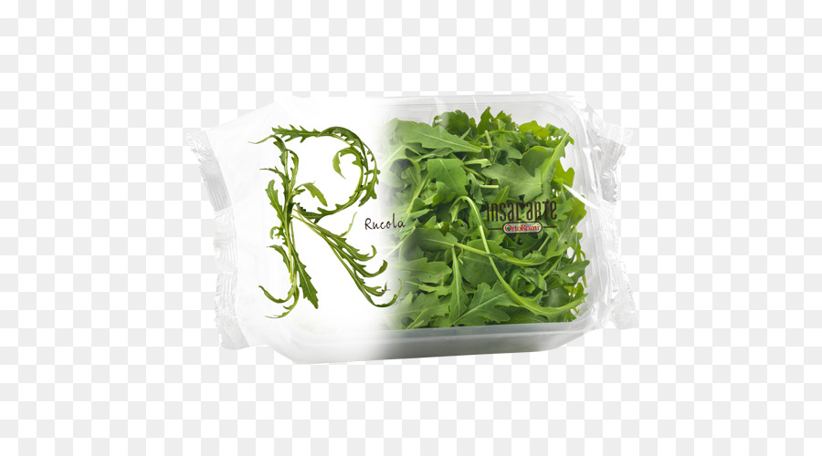 Rúcula，Ensalada PNG