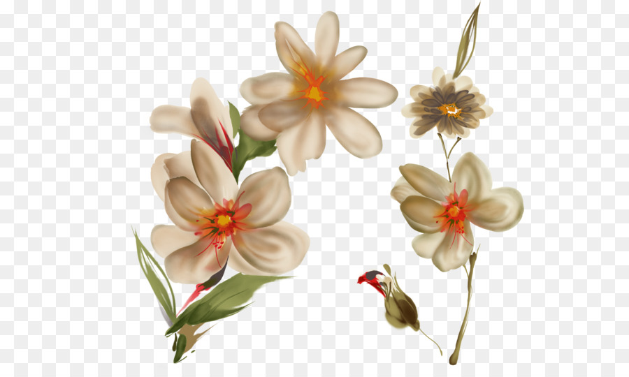 Flor，Pintura PNG