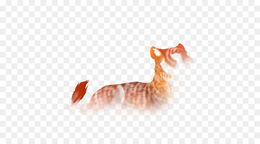 Batidos，Gatito PNG