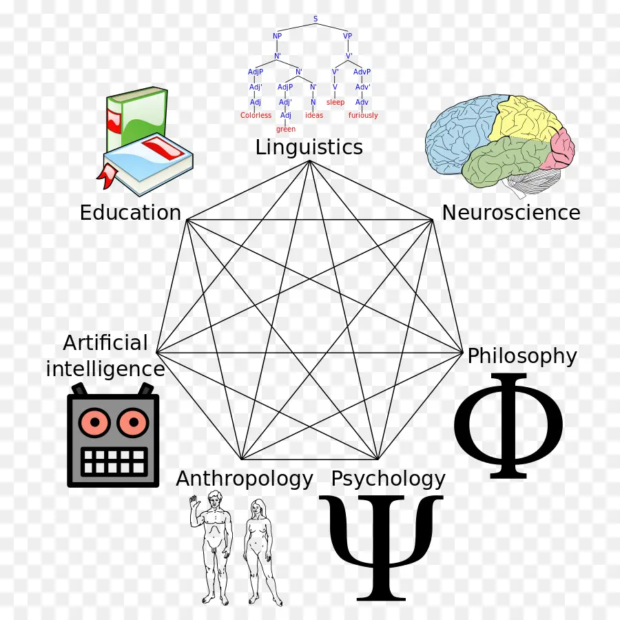 Filosofía，Psicología PNG