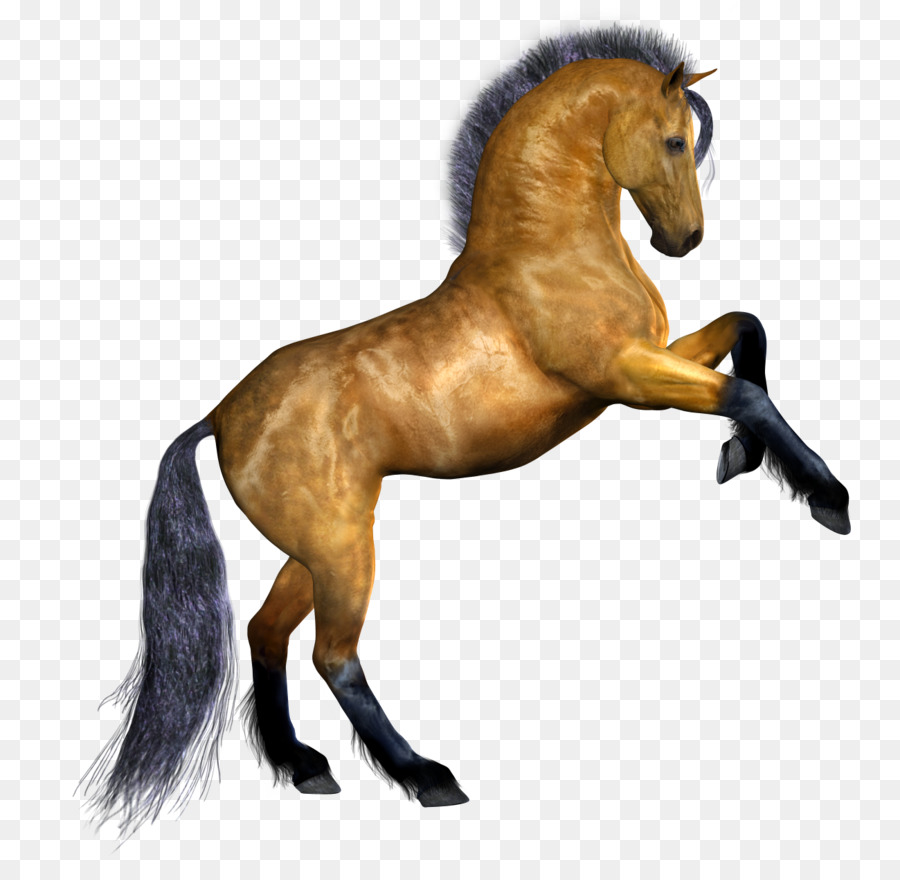 Cabeza De Caballo Amarilla，Animal PNG