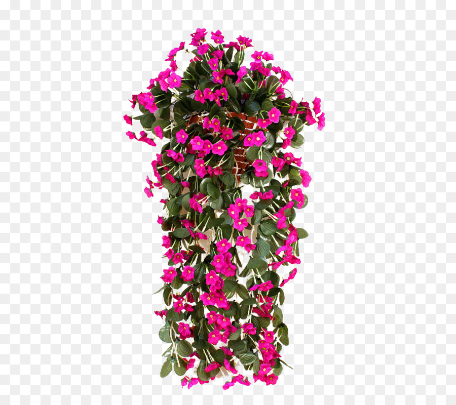 Diseño Floral，Flor PNG