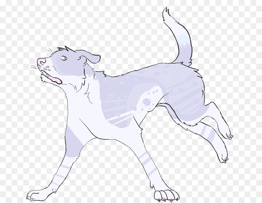 Gato，Perro PNG