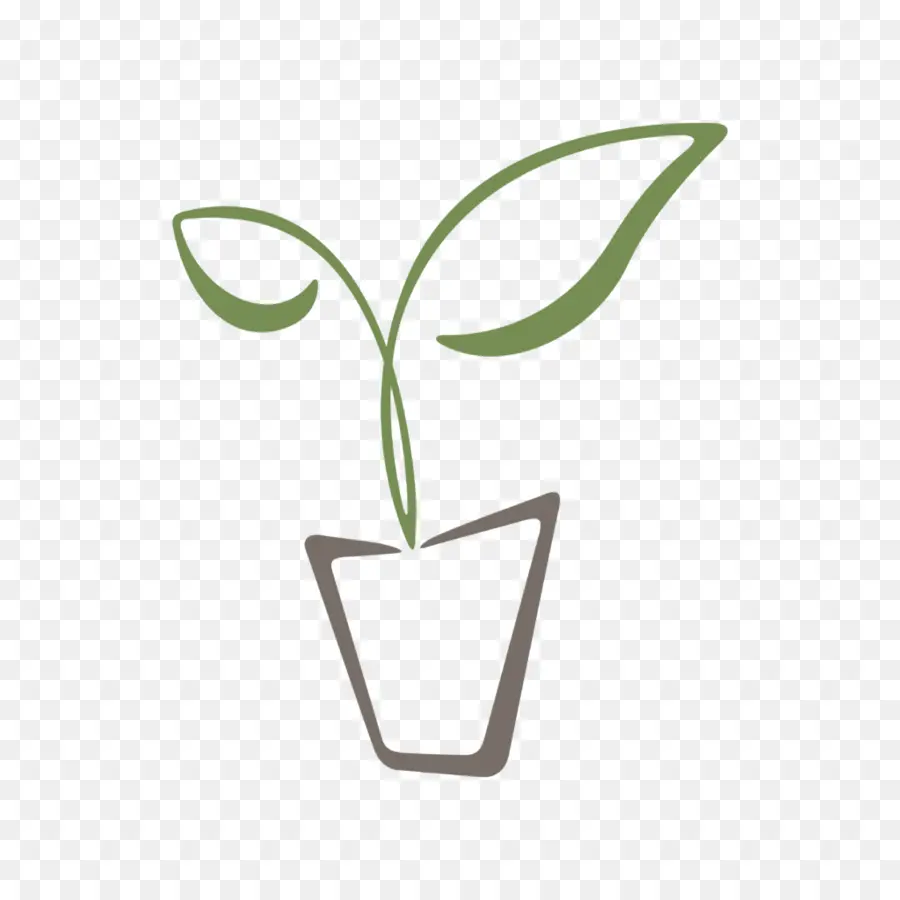 Planta，Hojas PNG