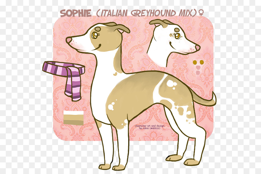 Lebrel Italiano，Whippet PNG