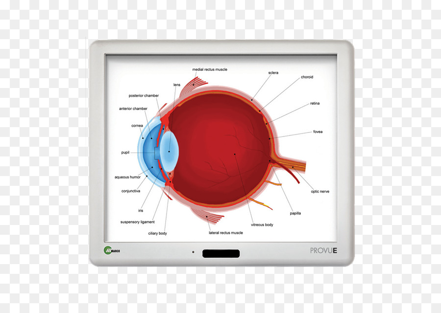 Dispositivo De Visualización，Multimedia PNG