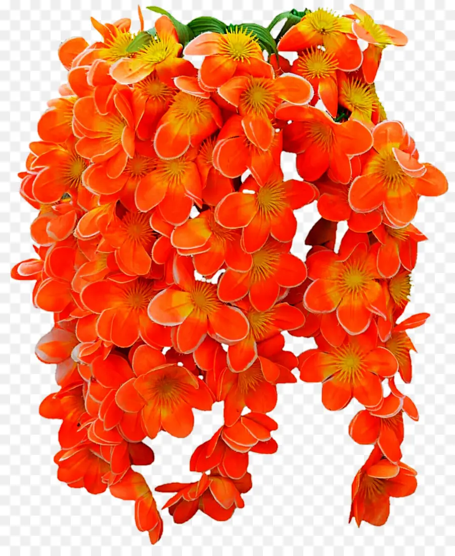 Las Flores Cortadas，Pétalo PNG