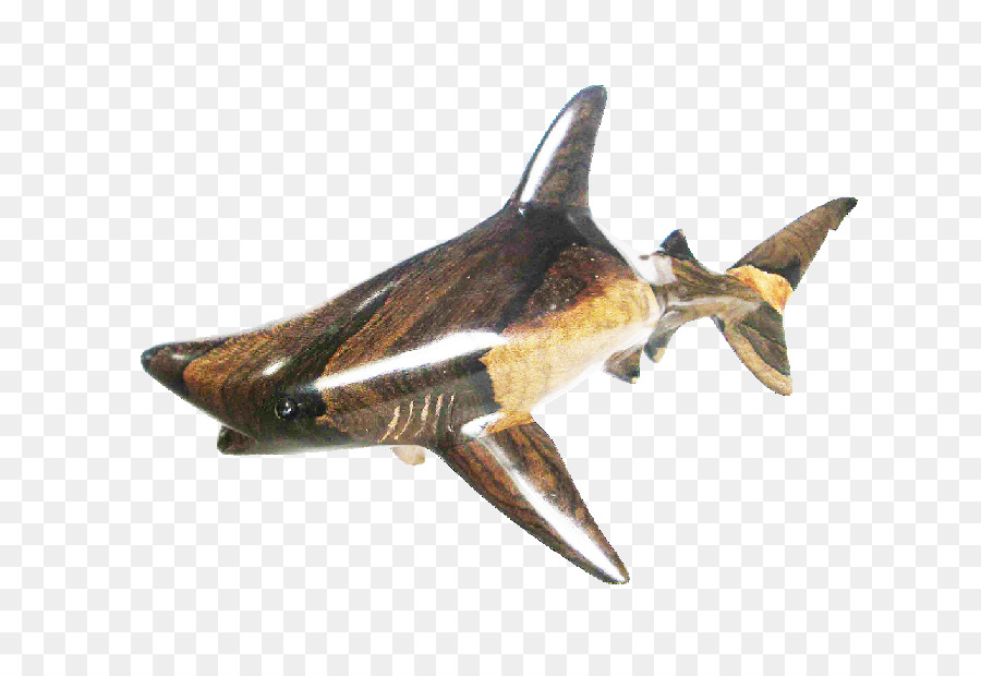Tiburón，Tiburón De Punta Negra PNG