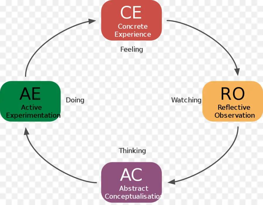 Ciclo De Aprendizaje，Educación PNG