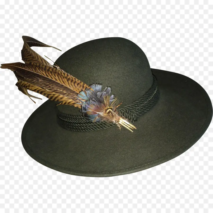 Sombrero Emplumado，Pluma PNG