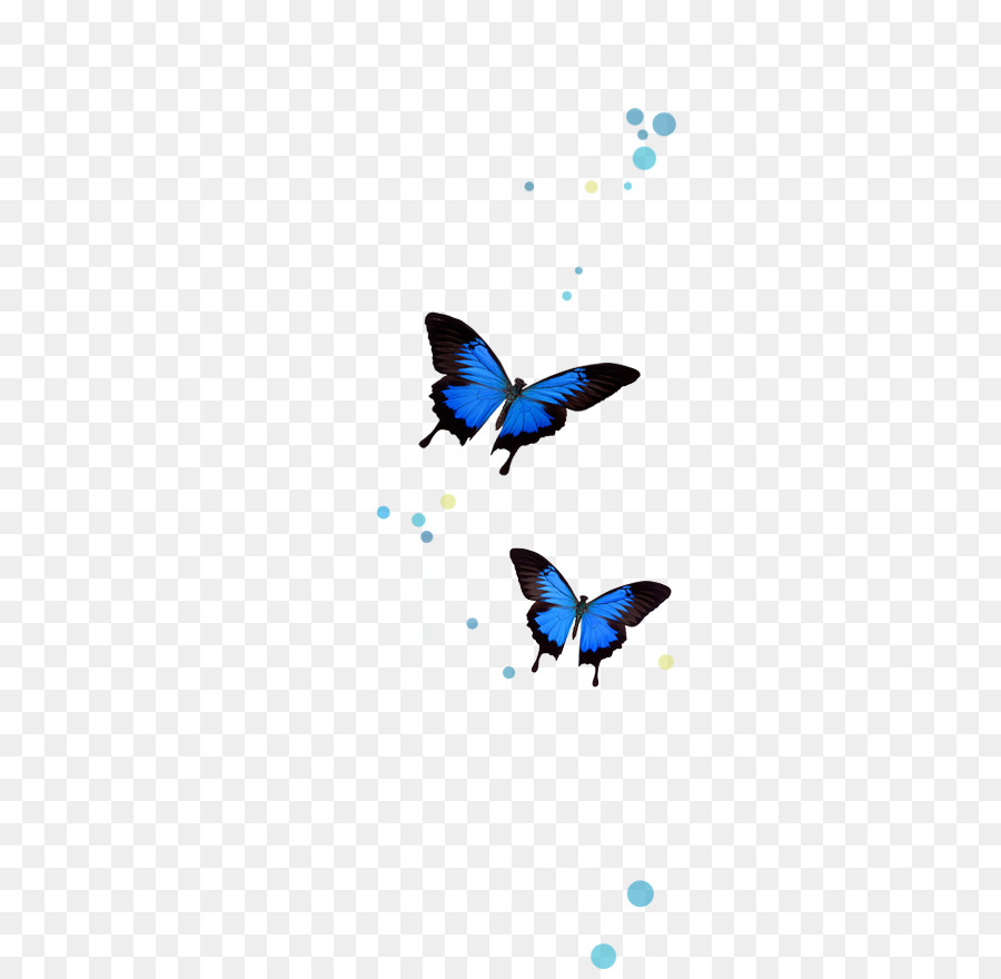 Brushfooted Mariposas，Sueño Completo Libro De Descubrir Lo Que Sus Sueños Revelan Acerca De Usted Y De Su Vida PNG