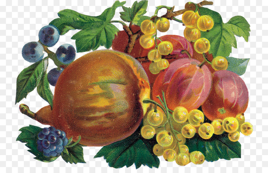 Frutas，Uvas PNG