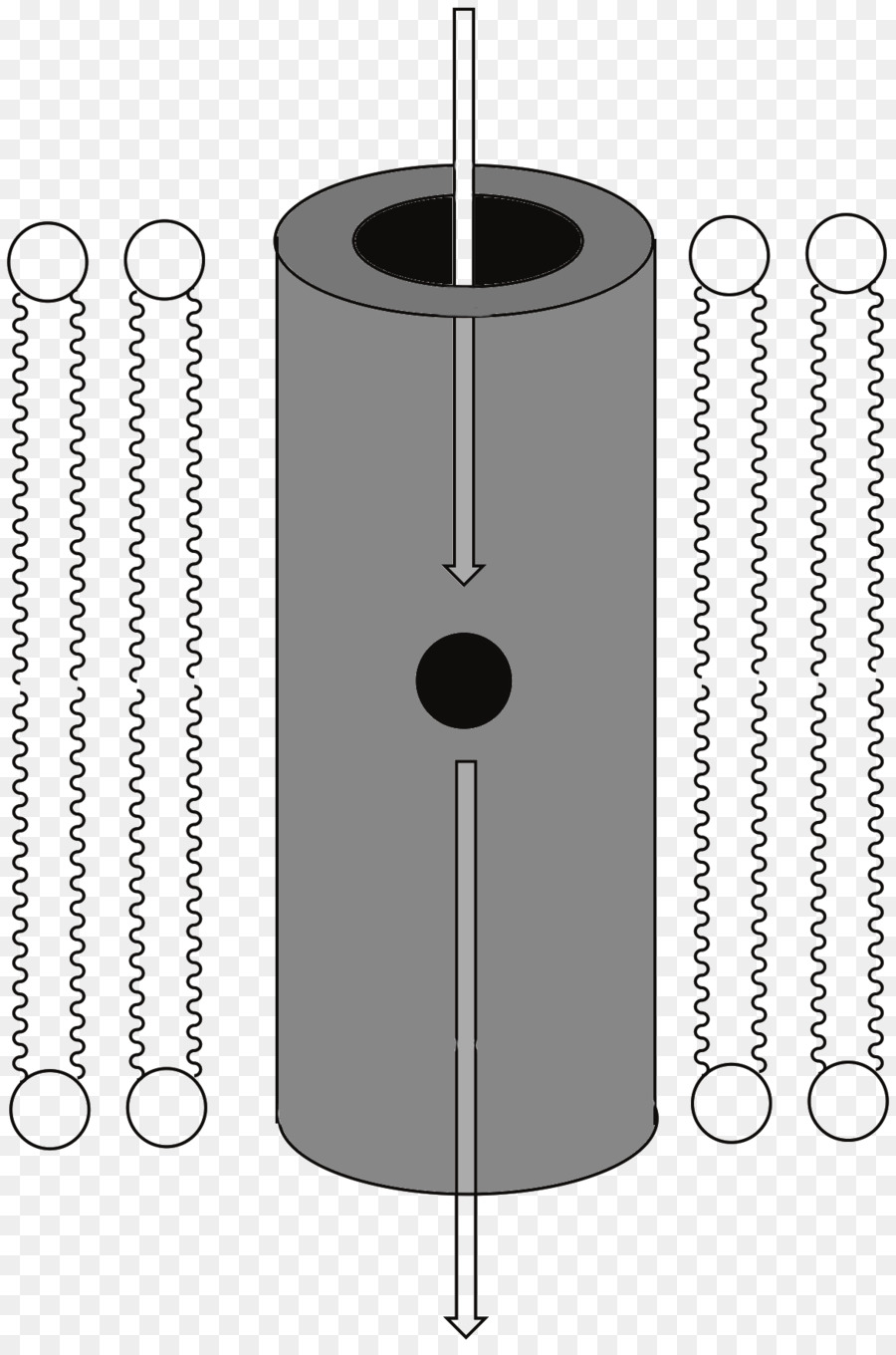 Membrana De La Célula，Ionóforo PNG