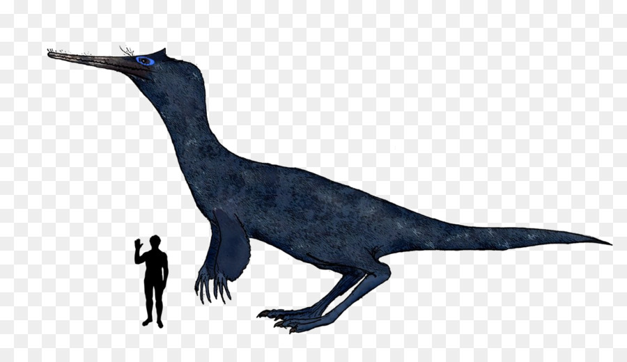 Velociraptor，Dinosaurio PNG