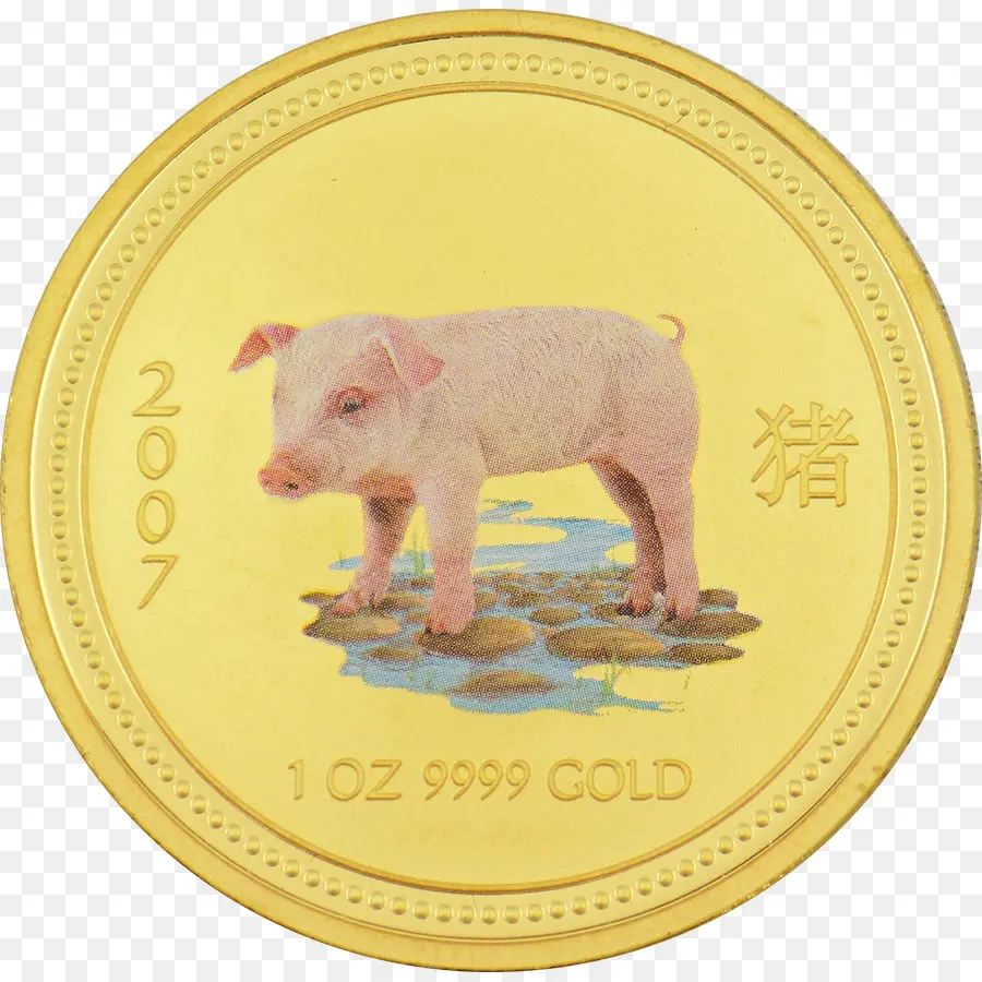 Moneda De Oro，Cerdo PNG