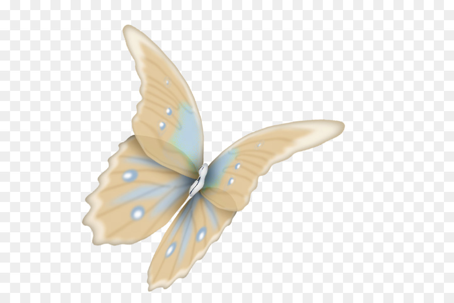 Mariposa，La Polilla PNG