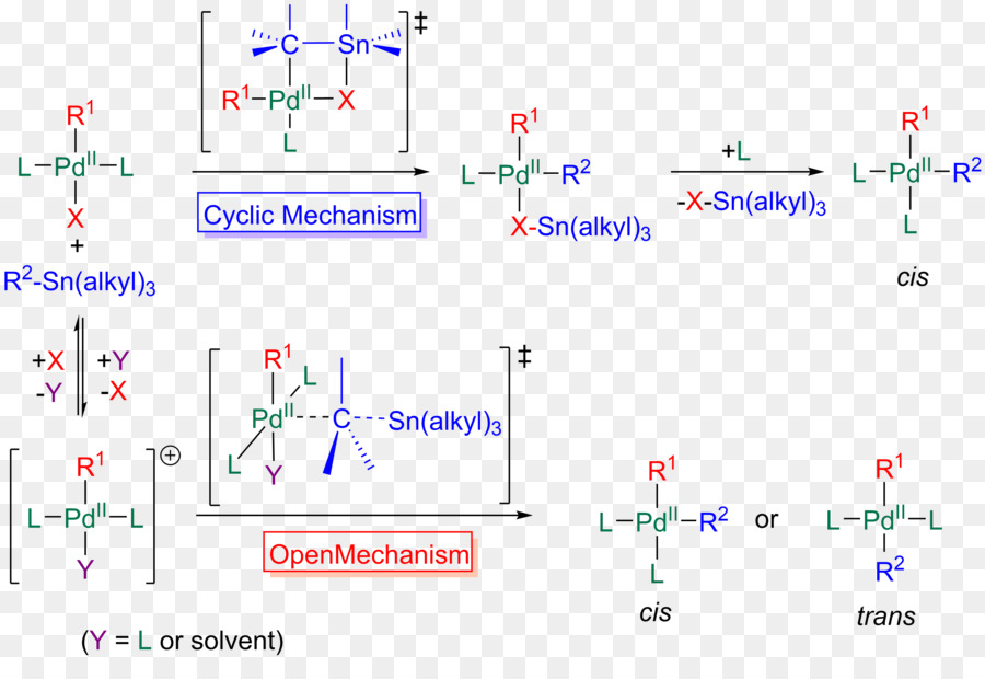 La Reacción De Stille，Transmetalation PNG