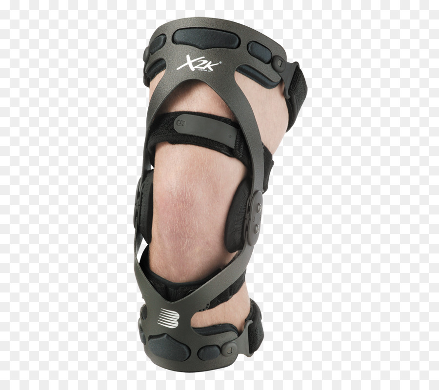 Ligamento Cruzado Anterior，La Rodilla PNG