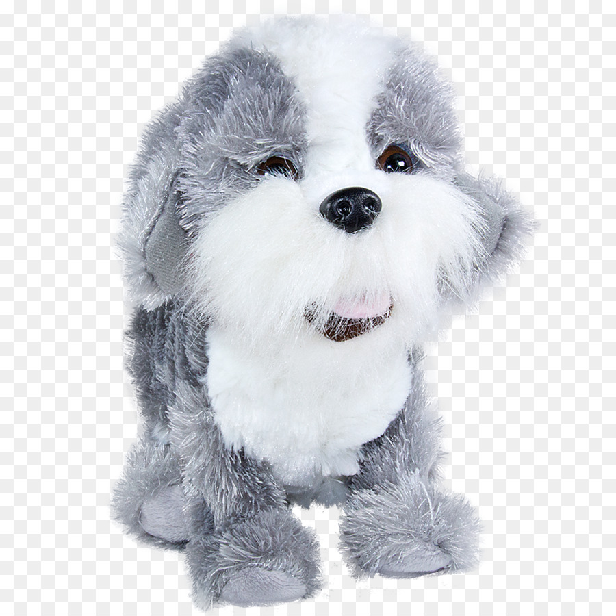 Beagle，Shih Tzu PNG