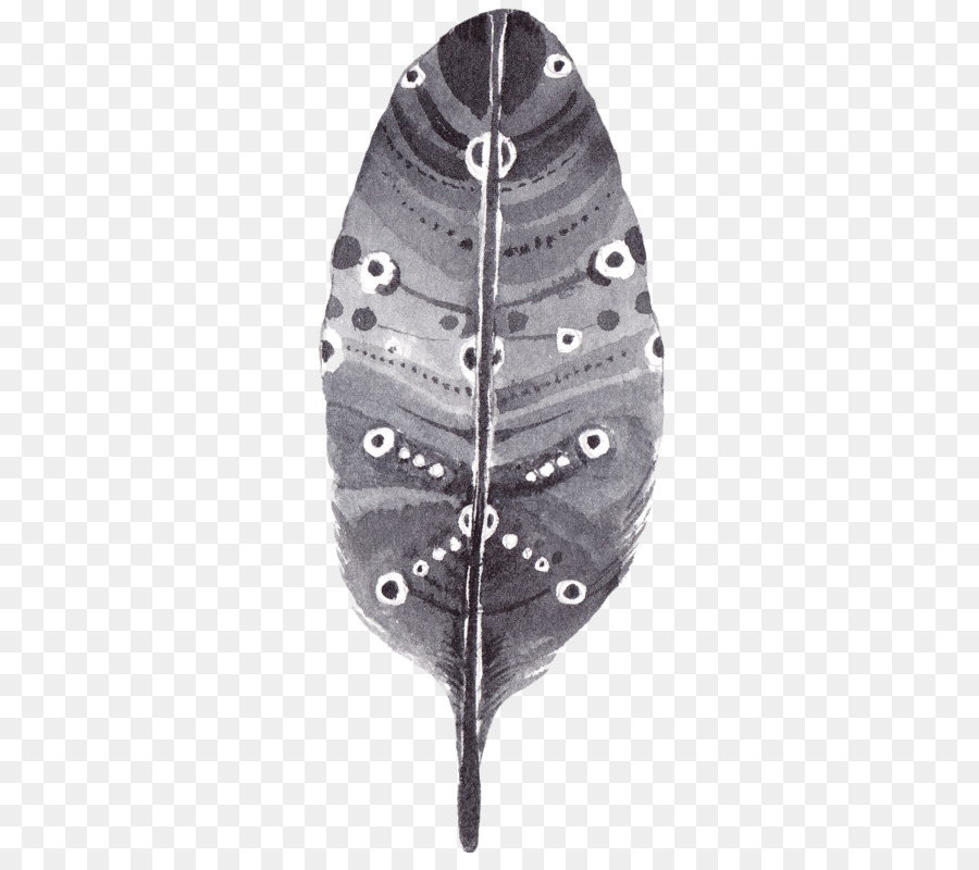 Pluma Negra，Pájaro PNG