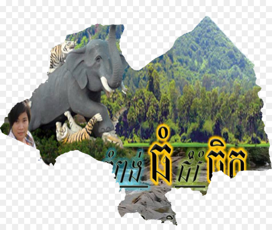 Dinosaurio，La Fauna PNG