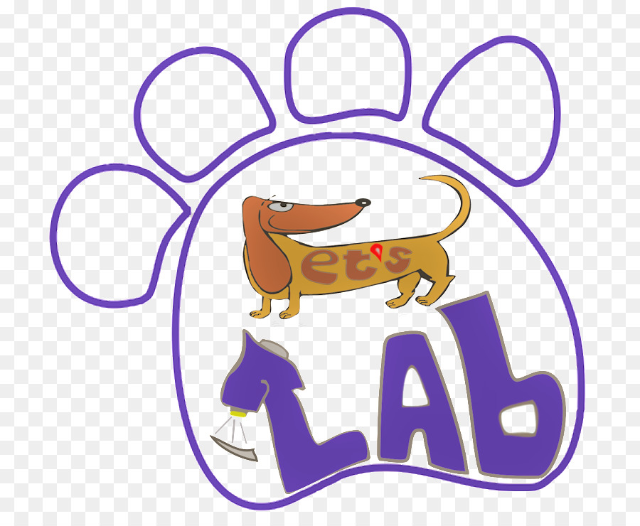 Labrador Retriever，Mascota PNG