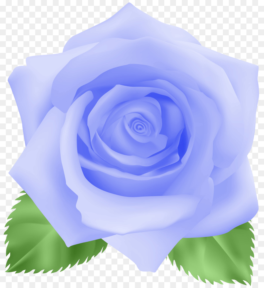 Rosa Azul，Col Rosa PNG