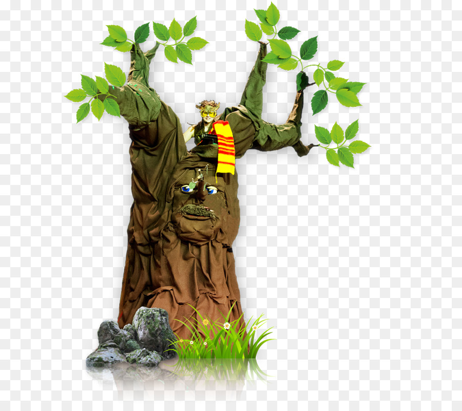 Árbol，Bosque PNG