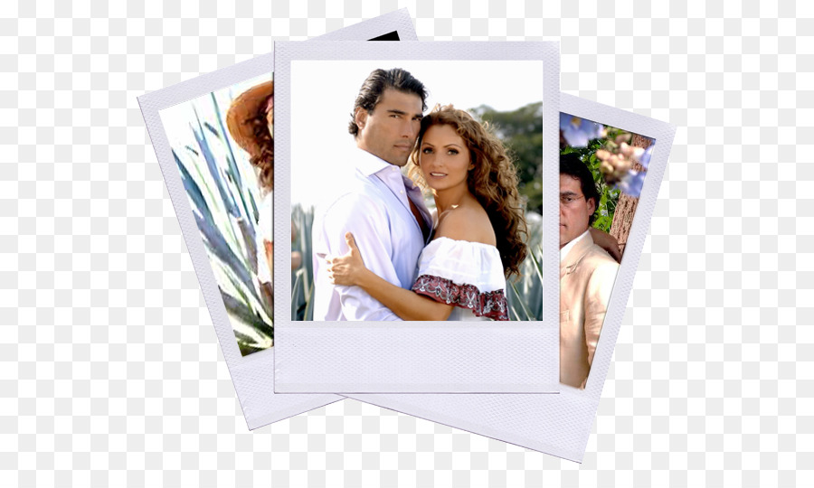 Telenovela，Ay Gaviota PNG