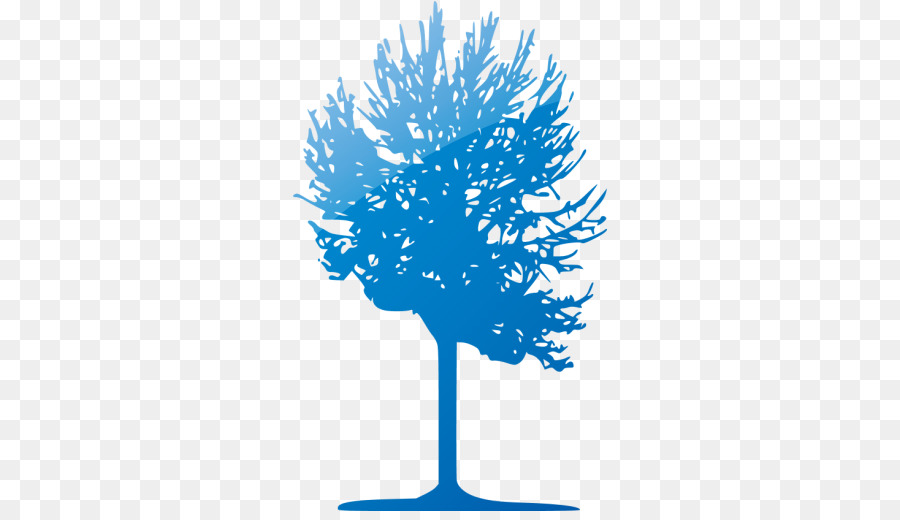 Rama，Árbol PNG