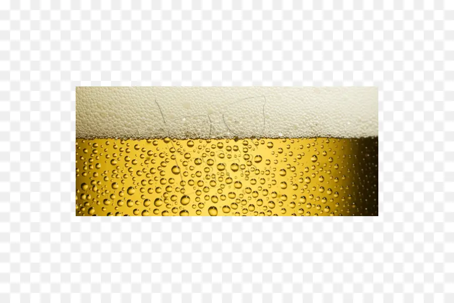 Cerveza，Espuma PNG