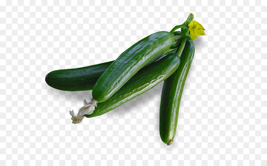 Chile Serrano，Pepino PNG